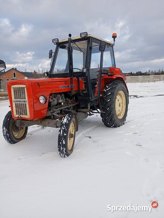 C360 Dworszowice Kościelne