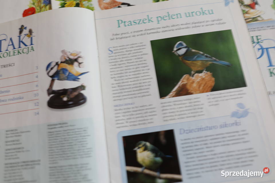 Ptaki polskie kolekcja części 1 do 15 15 pism