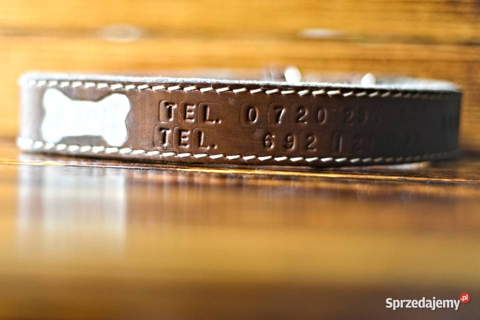 OBROŻA z IMIENIEM psa kota 100 skóra juchtowa no Tarnobrzeg