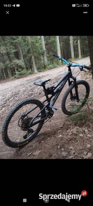 Dartmoor Blue Bird Evo 2022 Gołkowice Górne