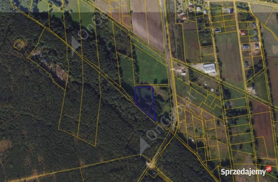 Działka 2381 w Wielka Nieszawka sprzedam