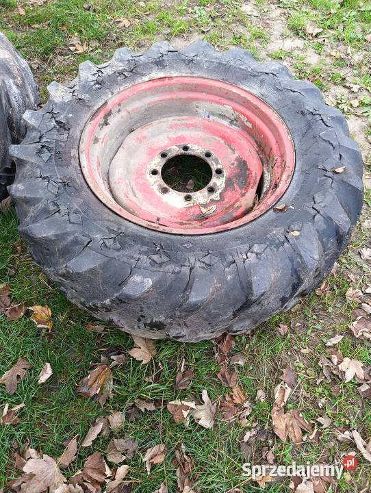 Opony z felgami bizon Bazar