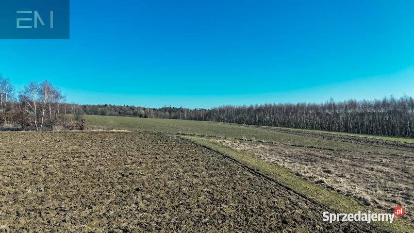 Działka Niewodna 5600m2 Sprzedaż