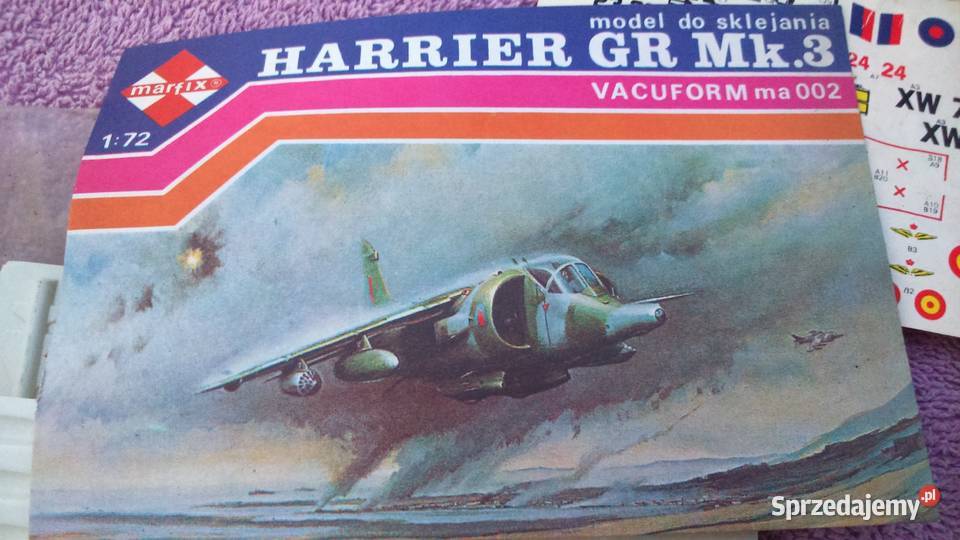 modele plastikkatondom 1rodzinnyORP Malarstwo