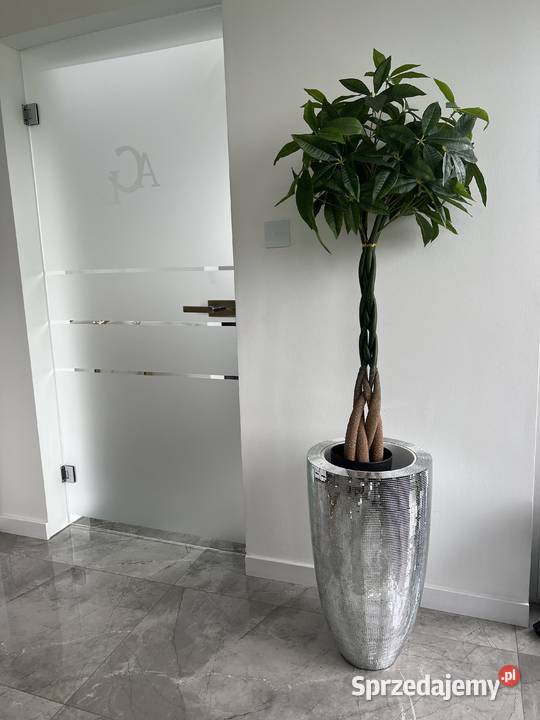 Sztuczne drzewko pachira w doniczce 120 Golkowice