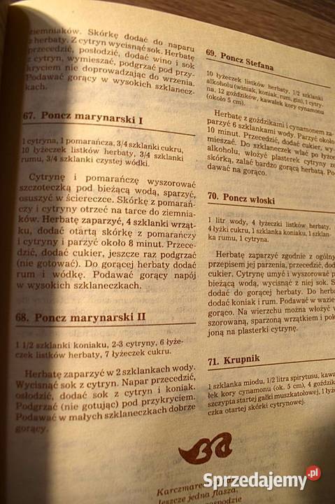 Cocktaile poncze likiery grogi nalewki piwo kujawsko-pomorskie