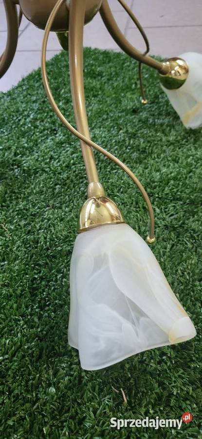 ŻYRANDOL ZWIS LAMPA Łódź