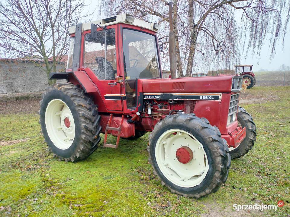 Case 956 Mniewo