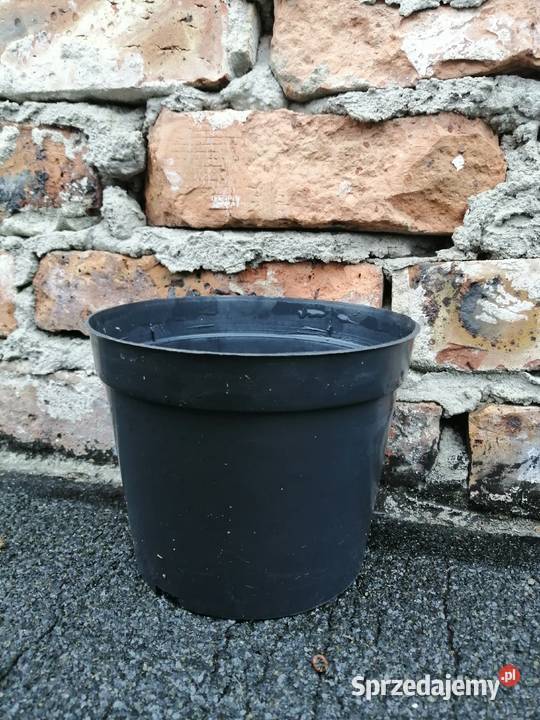 Doniczki produkcyjne 2 litry NOWE 2L 16 okrągłe Siewierz