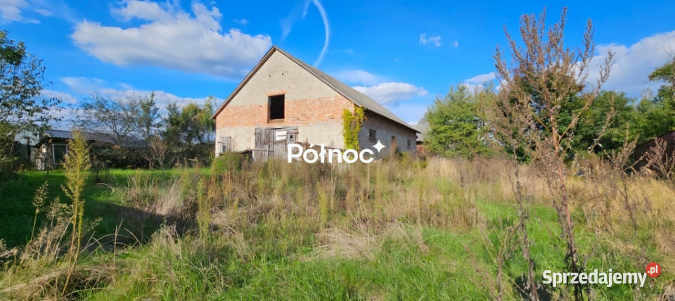 Siedlisko w sercu pojezierza na sprzedaż Rok budowy 1950 Rudka Starościańska