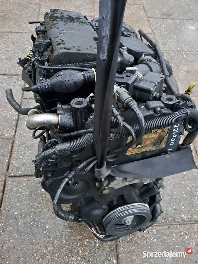 Citroen C3 14 HDi 68 silnik kompletny kod 8HZ Rok produkcji 2003 Silniki kompletne Jastrzębie-Zdrój sprzedam