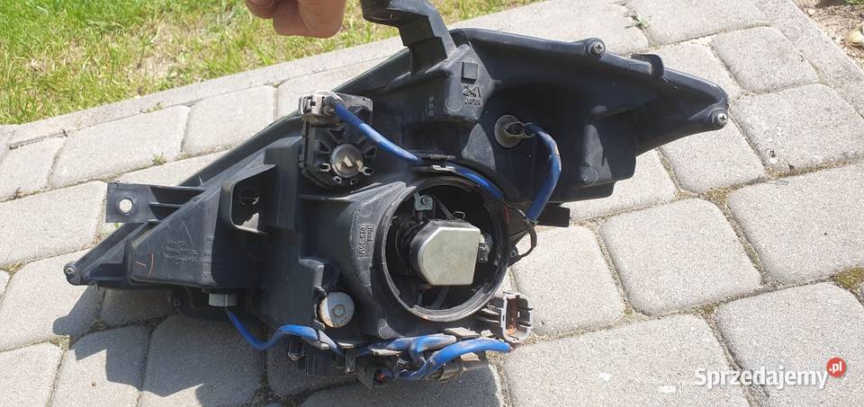 NISSAN MURANO Z50 XENON LAMPA PRZÓD PRAWA wielkopolskie