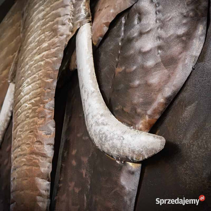 Obraz metalowy 3D LOFT NATURA SŁOŃ 2 100x100 świętokrzyskie Chmielnik