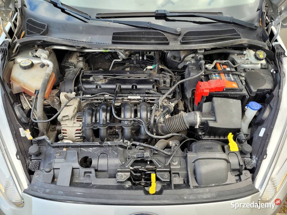 Ford Fiesta Mk7 Lifting 12 Benzyna mały przebieg Gniewczyna Łańcucka