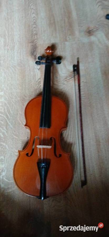 State skrzypce Kraków