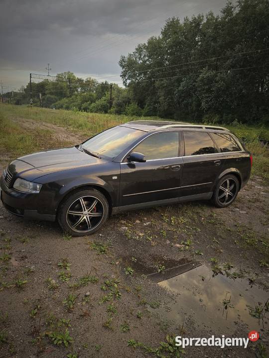 Audi a4 b6 19 150 Paparzyn