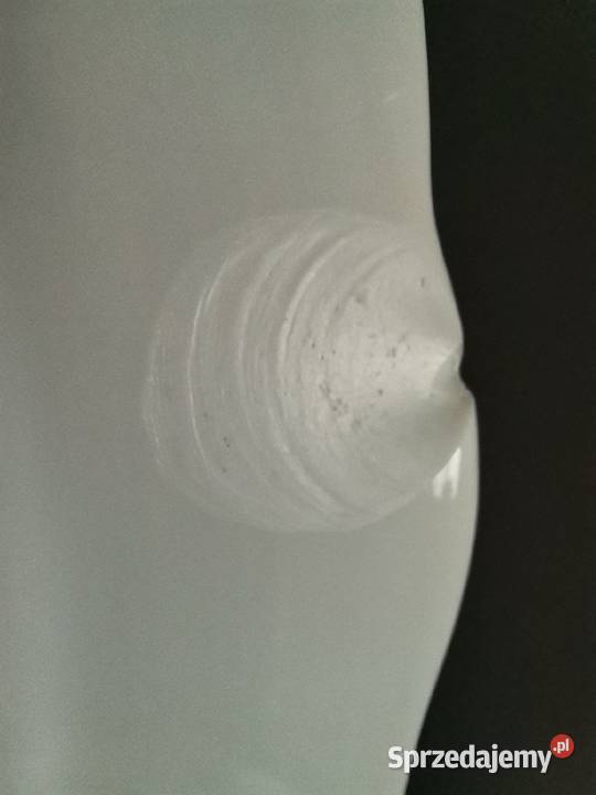 Stara wielka patera półmisek Winorośl Winogrona Katowice