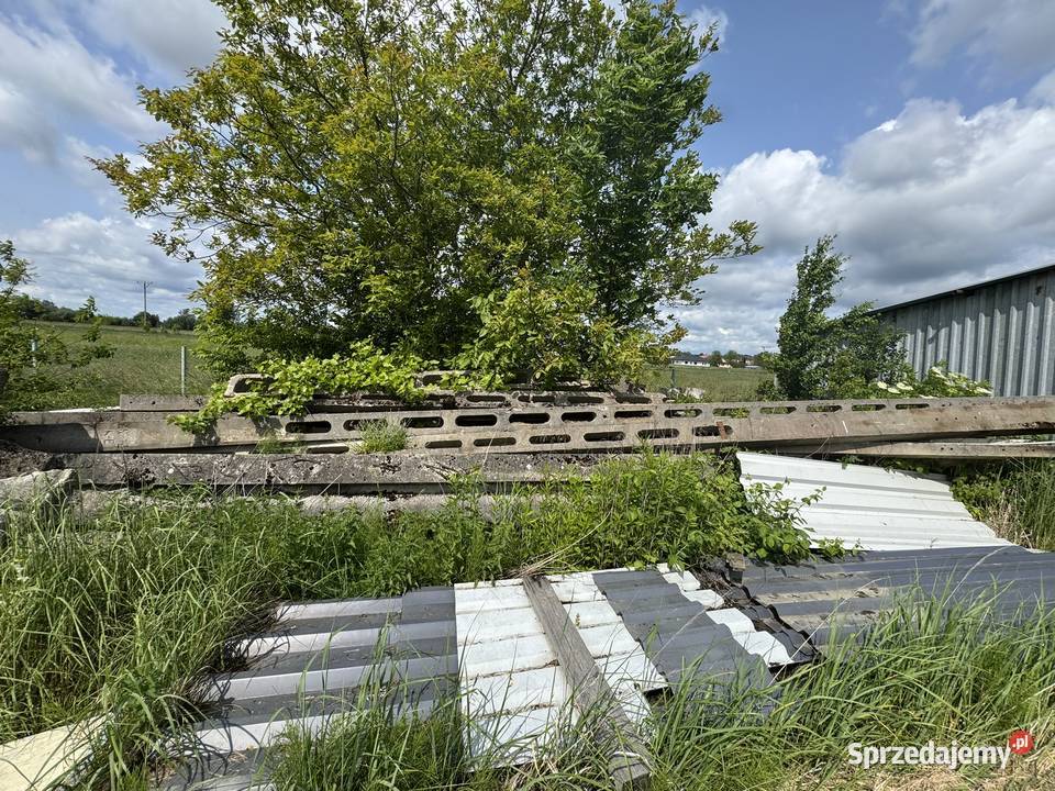 słupy energetyczne żelbetonowe zbrojone słup podkarpackie Wólka Podleśna