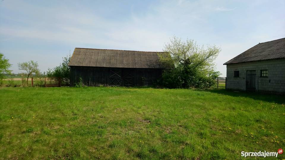 Dzialka z domkem rolna Strusinek