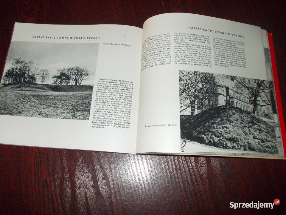 zamki ziemi rzeszowskiej 1567 Pozostałe Stalowa Wola