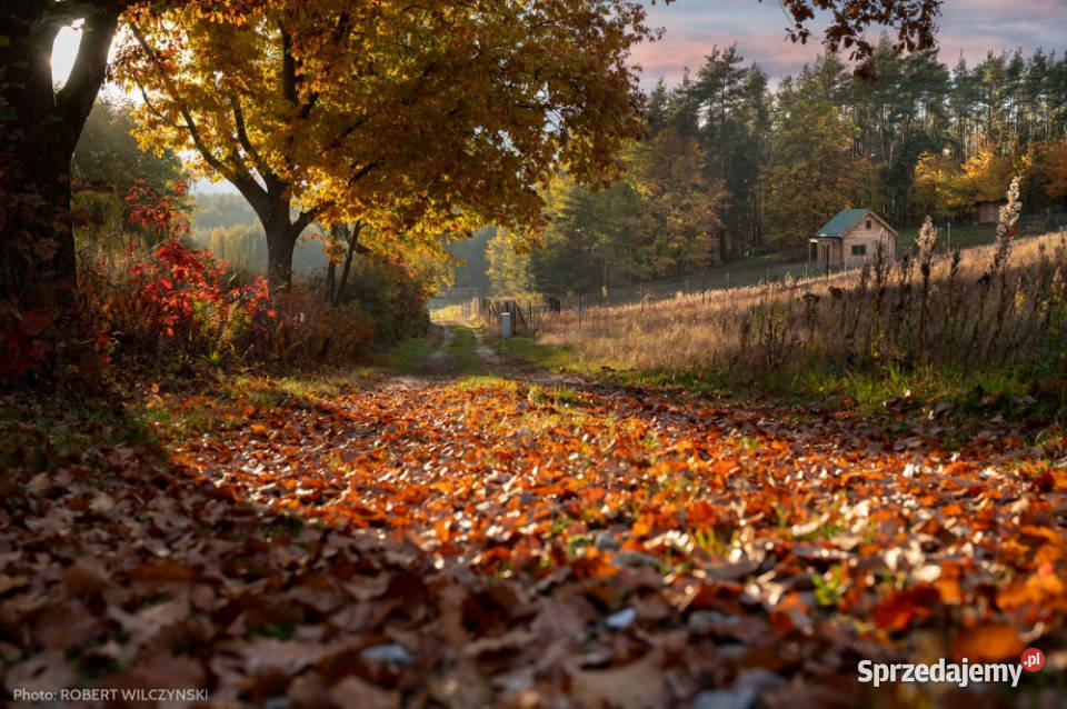 Mazowsze działka marzeń na wzgórzu las i cisza Jeziórka