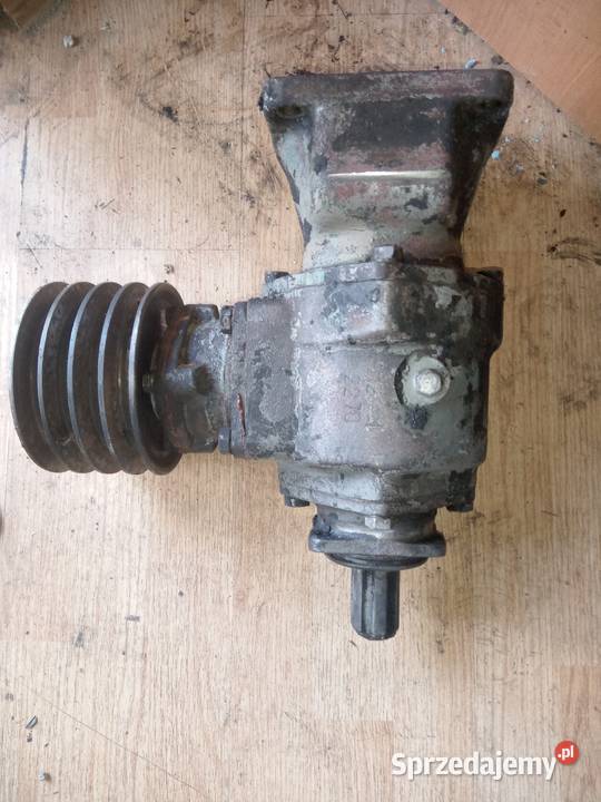 Dyfer Muscela przedni i tylnyWkład gaza Kadcza