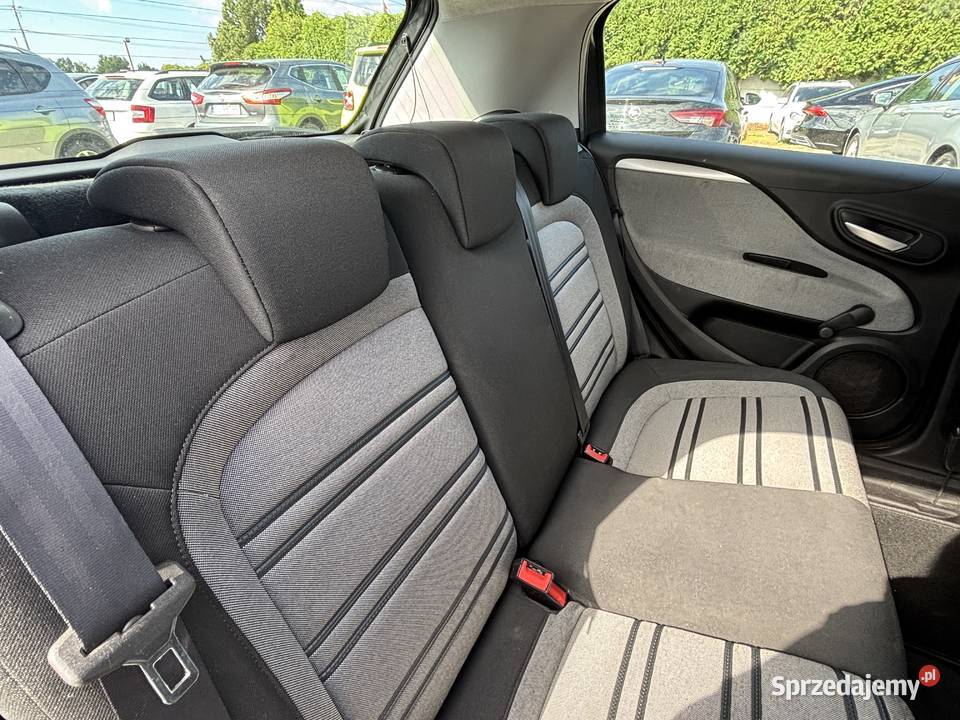 Fiat Punto Evo Paniówki