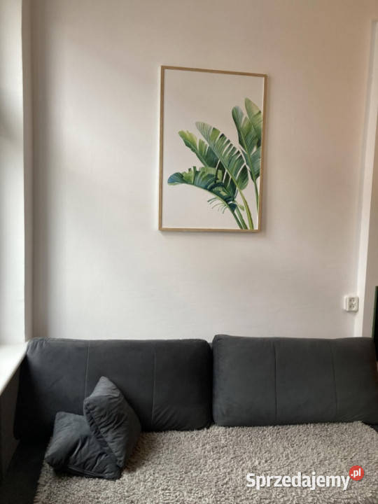 Przytulna kawalerka w Centrum Szczecina Szczecin