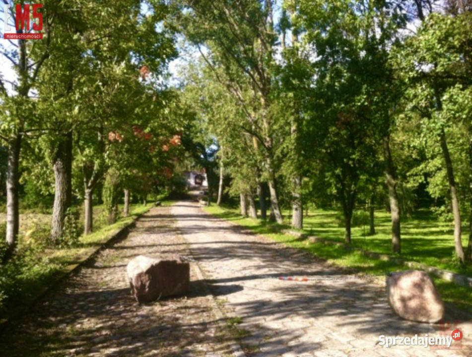 sprzedaży domu wolnostojącego Korsze 110000m2