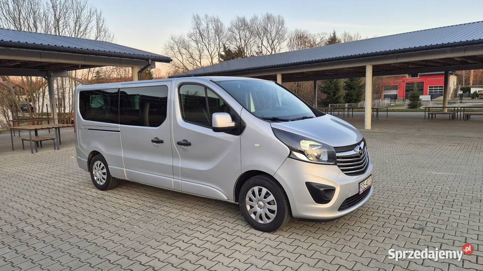 Opel Vivaro L2H1 29t Edition podkarpackie Dębica
