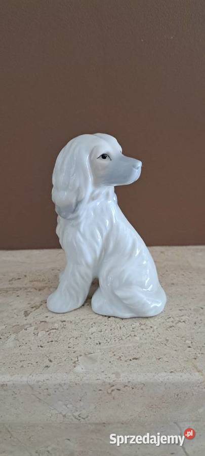 Harvey Knox dog afgański figurka porcelanowa wielkopolskie
