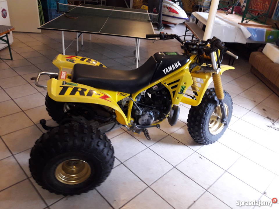 Yamaha TRIZ 250 Trójkołowiec duża moc Łebno
