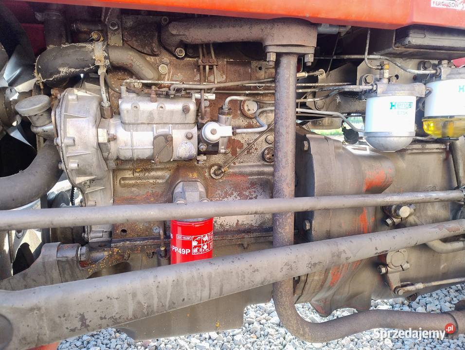 Massey Ferguson 133 nie 255 Zameczek-Kolonia sprzedam