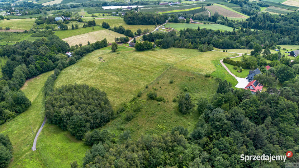 Grunt sprzedam 6500m2 Zegartowice Zegartowice sprzedam