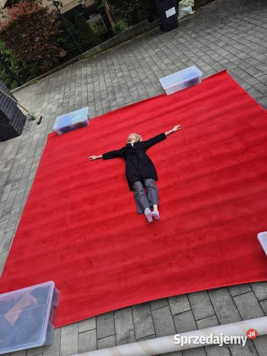 Wykładzina dywanowa dywan 4x4 m