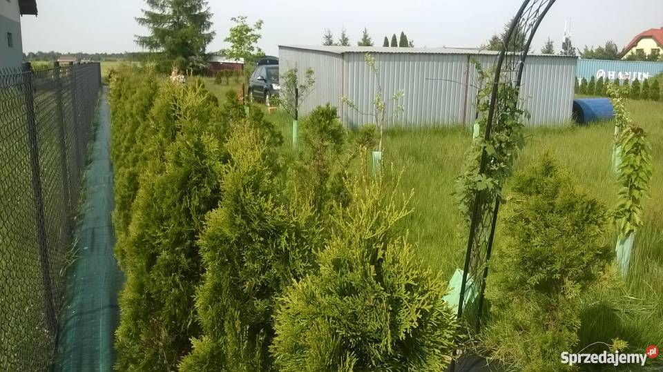 Działka z widokiem na jezioro Góra Pobiedziska Poznań