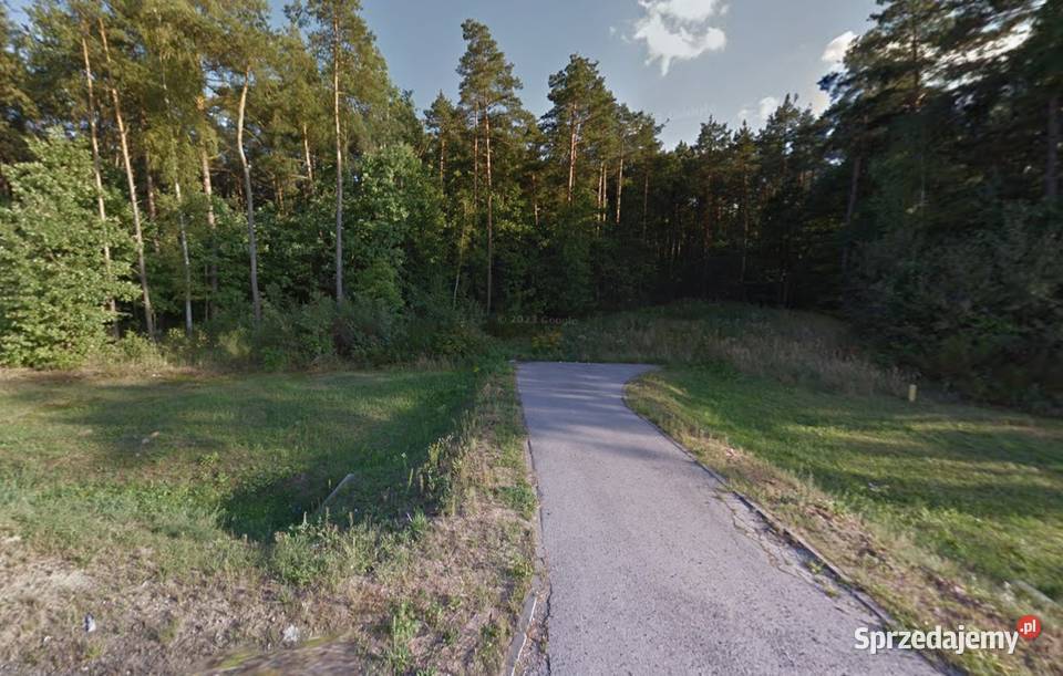 Duża działka leśna 104 ha Adamowice pod 33zł/m2 sprzedam