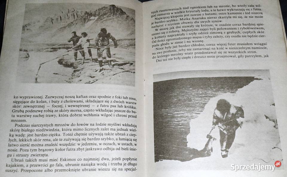 Anaruk chłopiec z Grenlandii Czesław Centkiewicz