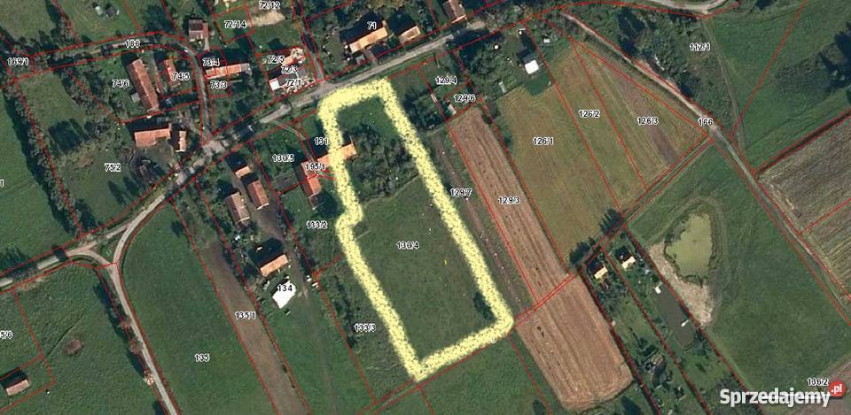 Srzedam piękną działkę inwestycyjnąbudowlaną budowlana Koniewo