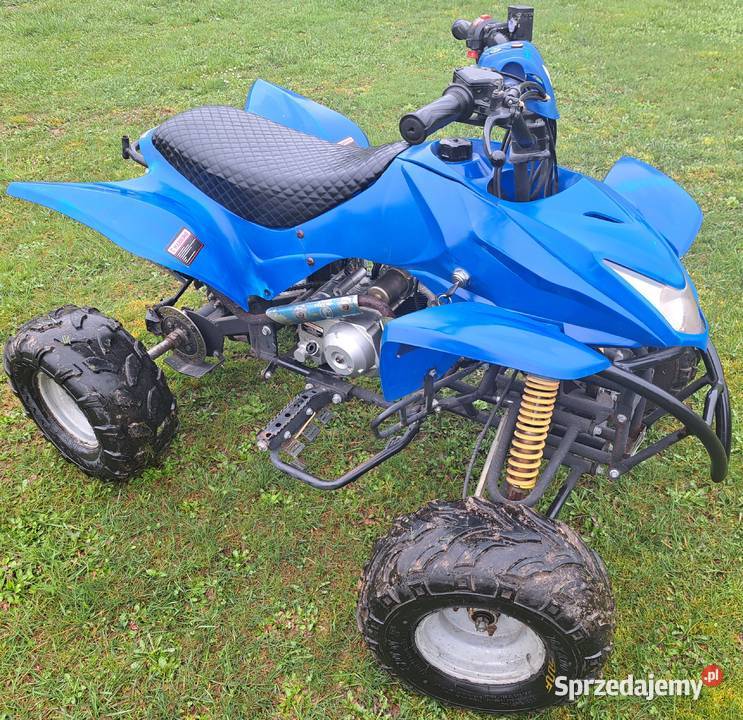 Quad 110 cc 1 plus 1 Stan podkarpackie Iskrzynia