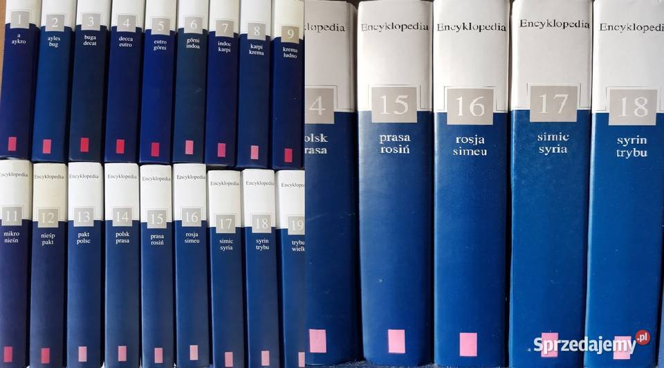 Encyklopedia szkolna PWN gazety wyborczej pomoc świętokrzyskie Kielce