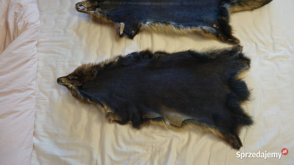 Jenot dwie piękne skóry Pozostałe