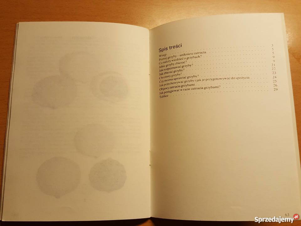 PORADNIK Grzyb jadalny Zbigniew Domański Złotniki