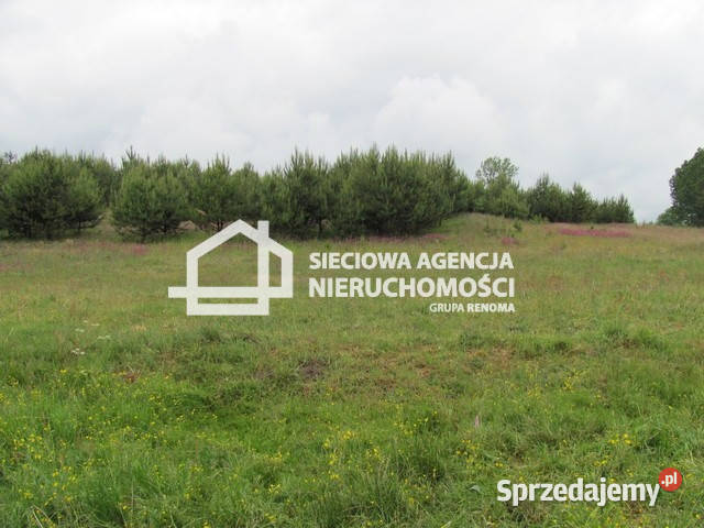 sprzedaży gruntu 5600m2 Marszewska Góra 35zł/m2