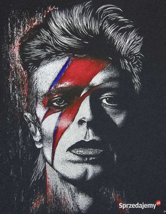David Bowie Oryginalny obraz ręcznie grawerowany Sandomierz