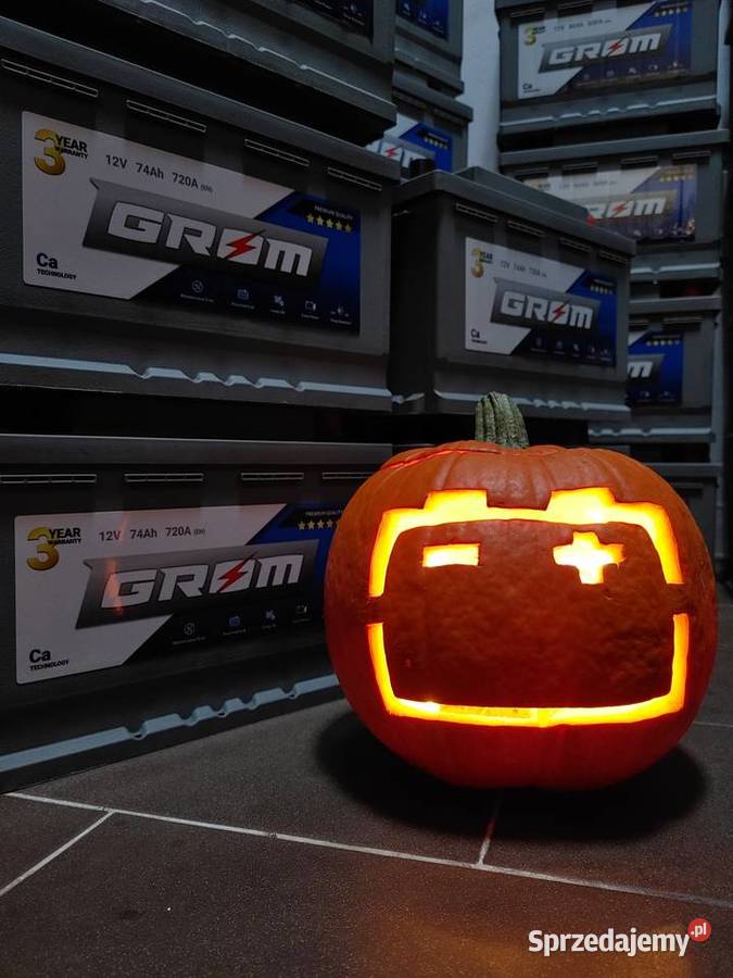 Akumulator 95Ah 850A Yuasa YBX3019 Standard 12V Łódź