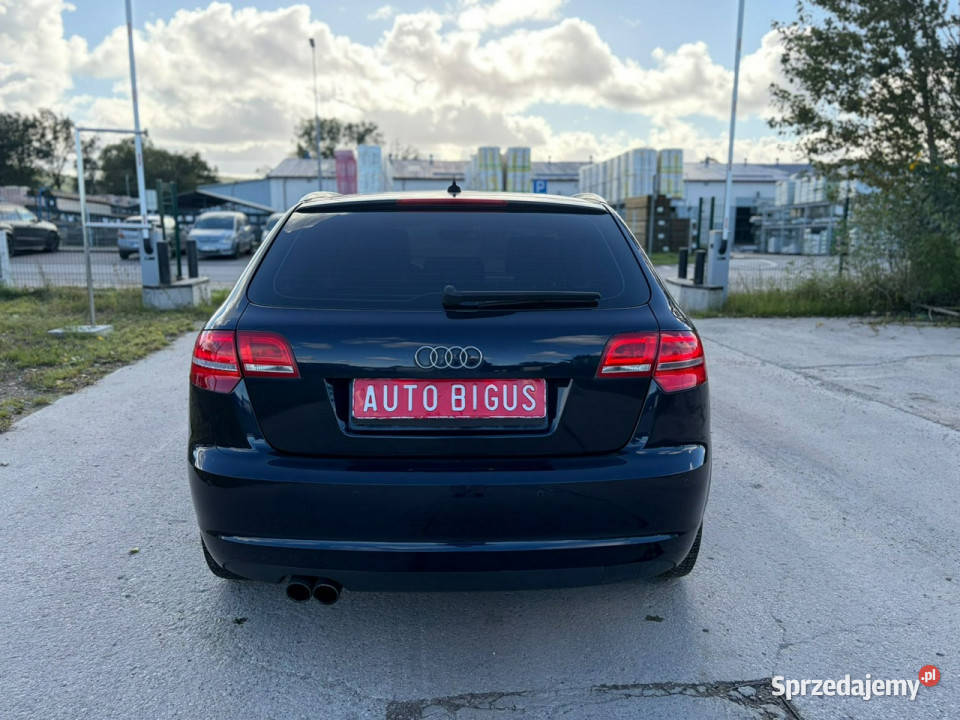 Audi A3 Sportback Climatronic wymieniony rozrząd Lębork