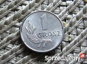 PRL 1 Grosz 1949r6 Kalisz sprzedam