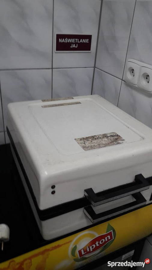 naświetlacz do jaj Chełmno