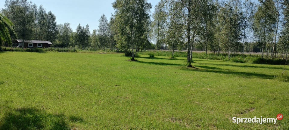MAZURY Działka jeziorem Roś z dostępem do linii Sprzedaż warmińsko-mazurskie